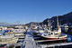 DSC_0319.JPG